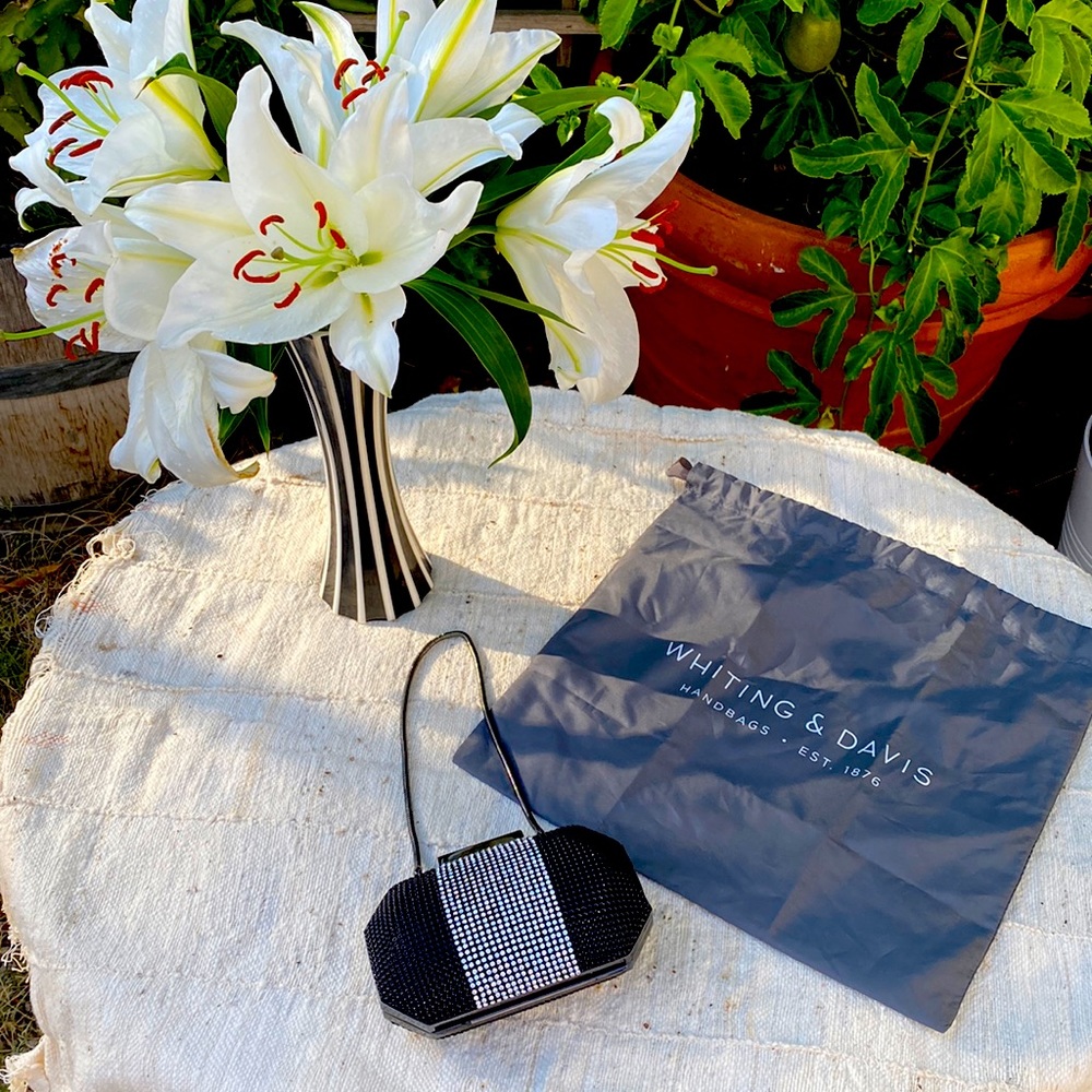 Whiting & Davis Evening Clutch